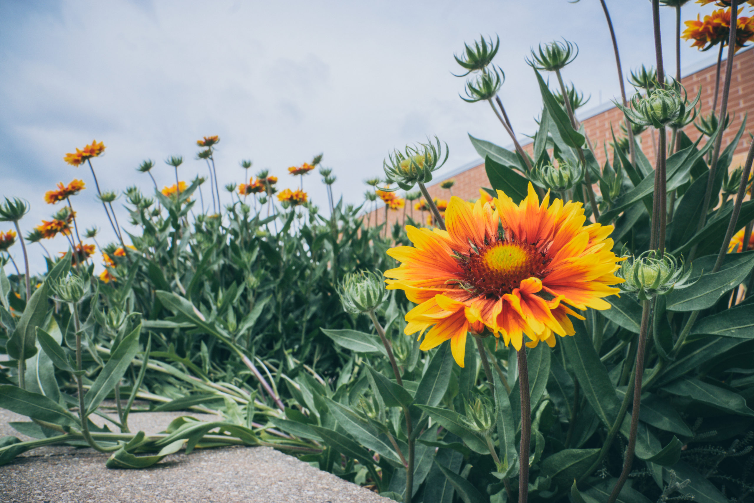 Gibbs Lake County Park Visit Edgerton