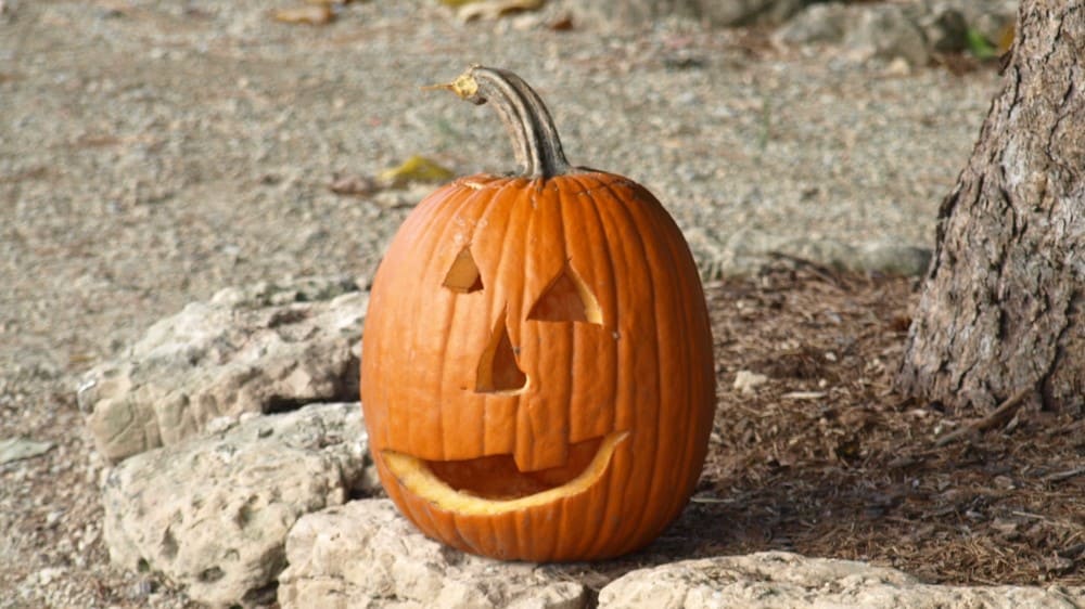 Edgerton Trick or Treating Visit Edgerton