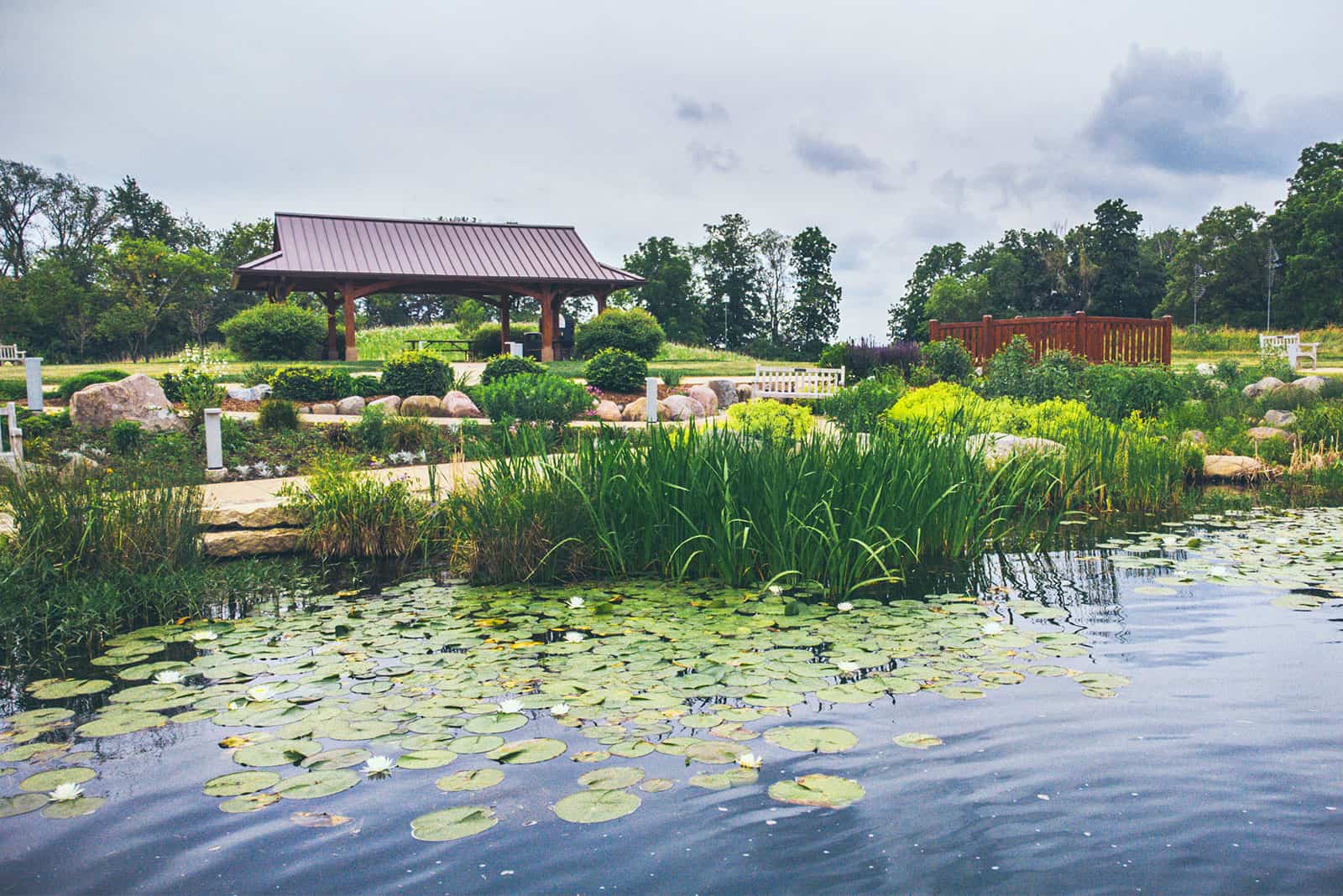 Houseplant Sale Visit Edgerton